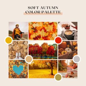Soft Autumn Color Palette Collection