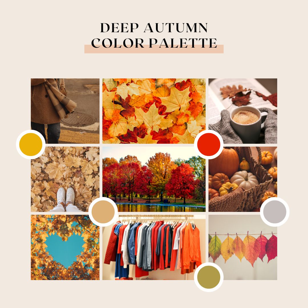 Deep Autumn Color Palette Collection