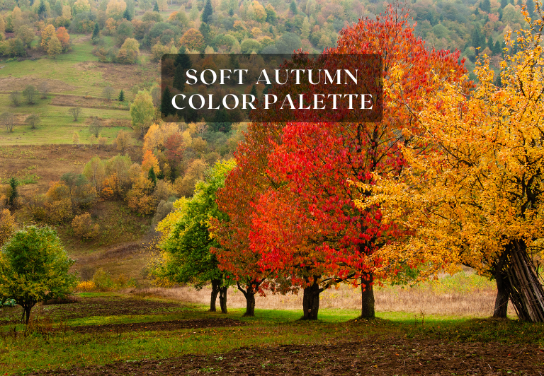 Soft Autumn Color Palette Collection